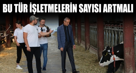 BU TÜR İŞLETMELERİN SAYISI ARTMALI