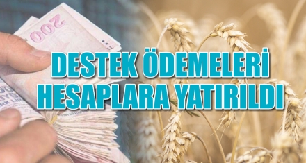 DESTEK ÖDEMELERİ HESAPLARA YATIRILDI