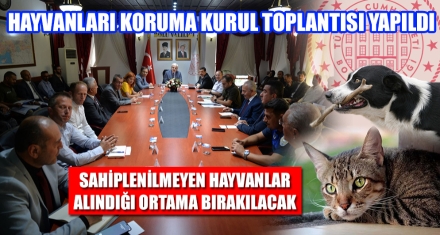 HAYVANLARI KORUMA KURUL TOPLANTISI YAPILDI
