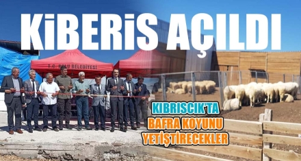 KİBERİS AÇILDI