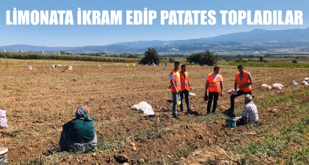 LİMONATA İKRAM EDİP PATATES TOPLADILAR