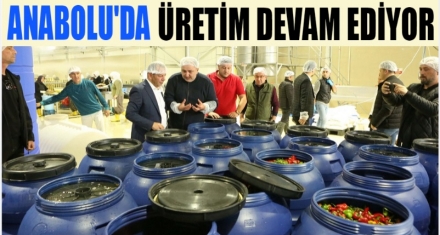 ANABOLU'DA ÜRETİM DEVAM EDİYOR