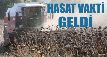  Hasat vakti geldi  