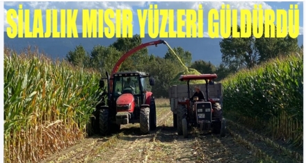 SİLAJLIK MISIR YÜZLERİ GÜLDÜRDÜ 