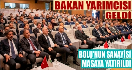 BOLU SANAYİSİ MASAYA YATIRILDI 