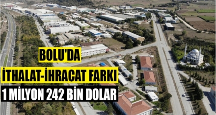 BOLU'DA İTHALAT %95,9 ARTTI
