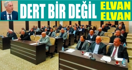 DERT BİR DEĞİL ELVAN ELVAN