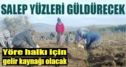 GEREDE'DE SALEP YÜZLERİ GÜLDÜRECEK