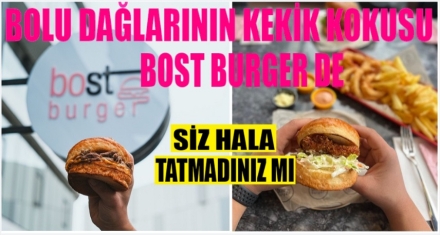 BOLU DAĞLARININ KEKİK KOKUSU BU BURGER DE