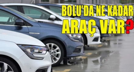  BOLU'DA NE KADAR ARAÇ VAR