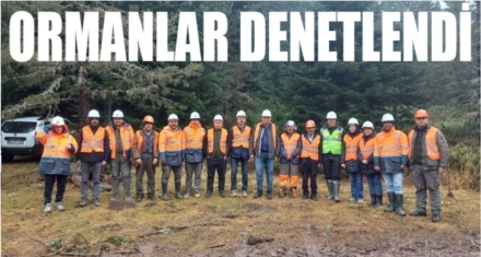 ORMANLARIMIZ GÖZLEM ALTINDA 