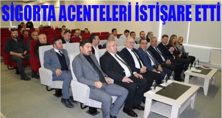 SİGORTA ACENTELERİ İSTİŞARE ETTİ 