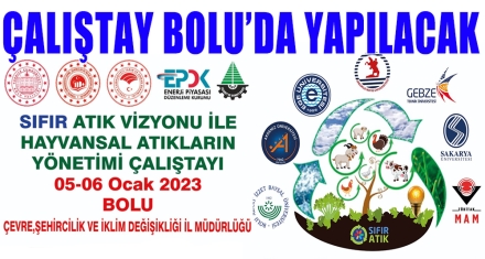 ÇALIŞTAY BOLU'DA YAPILACAK