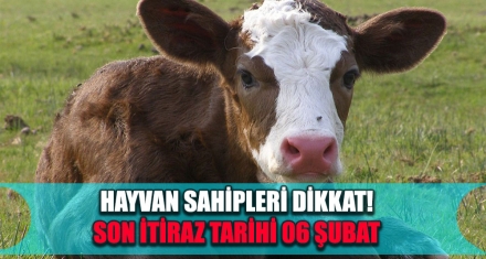 HAYVAN SAHİPLERİ DİKKAT!