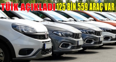 TÜİK AÇIKLADI 125 BİN 559 ARAÇ VAR