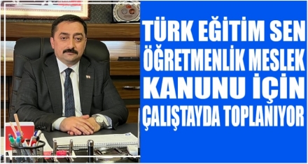 TÜRK EĞİTİM SEN ÇALIŞTAYDA BULUŞUYOR