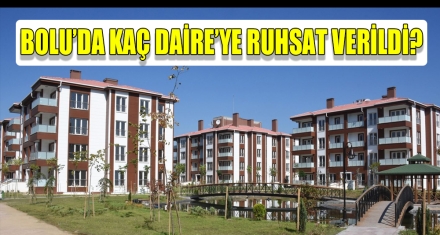 BOLU'DA KAÇ DAİRE'YE RUHSAT VERİLDİ?