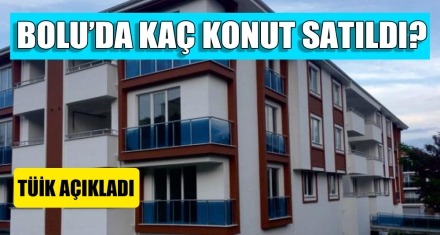 BOLU'DA KAÇ KONUT SATILDI?