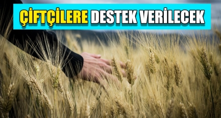 ÇİFTÇİLERE DESTEK VERİLECEK