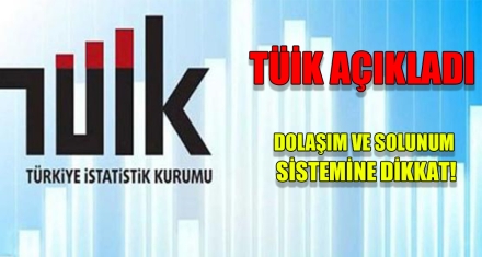 TÜİK AÇIKLADI