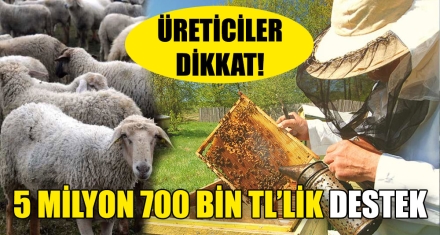 5 MİLYON 700 BİN TL'LİK DESTEK 