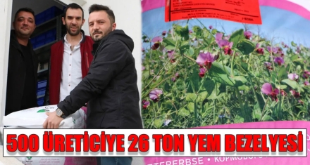 500 ÜRETİCİYE 26 TON YEM BEZELYESİ  