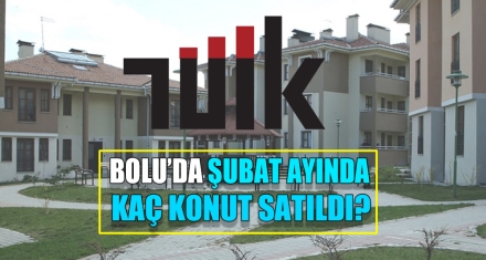 BOLU'DA ŞUBAT AYINDA KAÇ KONUT SATILDI?