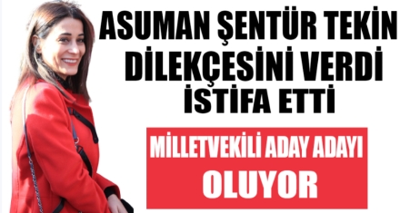 TEKİN BAŞKAN YARDIMCILIĞINDAN AYRILDI