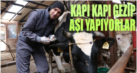 94 BİN 154 AŞI YAPILDI 