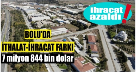 BOLU'DA İHRACAT AZALDI İTHALAT ARTTI