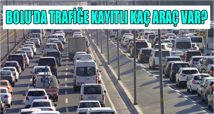 BOLU'DA KAÇ ARAÇ VAR?