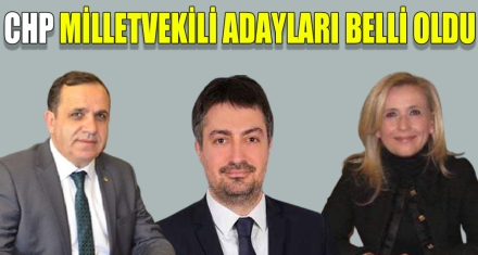 CHP MİLLETVEKİLİ ADAYLARI BELLİ OLDU