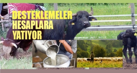 DESTEKLEMELER HESAPLARA YATMAYA BAŞLADI