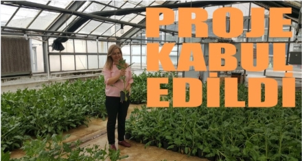 PROJE KABUL EDİLDİ