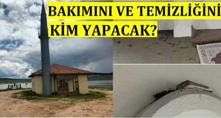 TEMİZLİĞİNİ KİM YAPACAK!