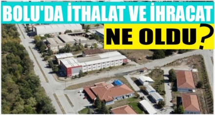 BOLU'DA İTHALAT VE İHRACAT ARTTI