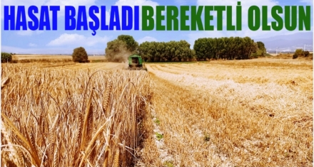 Hasat başladı 