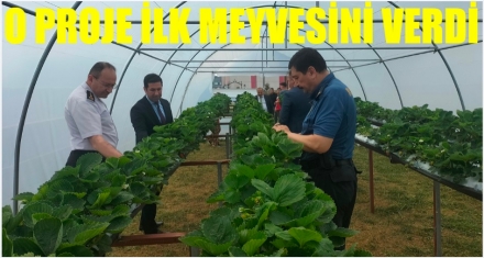 PROJE İLK MEYVELERİNİ VERDİ
