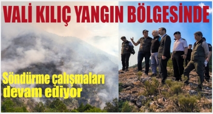 VALİ KILIÇ YANGIN BÖLGESİNİ İNCELEDİ