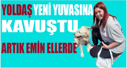 “Yoldaş” artık emin ellerde