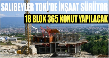 SALIBEYLER TOKİ'DE İNŞAAT SÜRÜYOR 