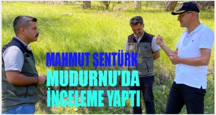 ŞENTÜRK YERİNDE İNCELEDİ 