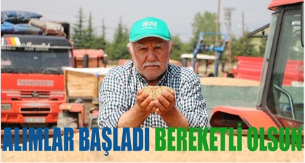 TMO Geçici Alım Merkezi Bolu'da 