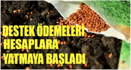 1 Milyon Destek ödenecek 