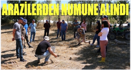 ARAZİLERDEN NUMUNE ALINDI