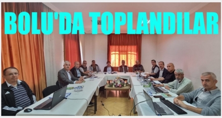 BOLU'DA TOPLANDILAR 