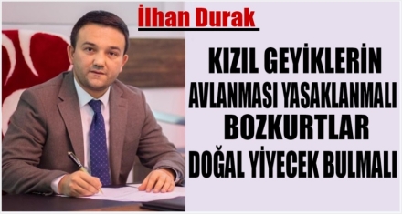 DURAK'TAN KIZIL GEYİK AVINA TEPKİ 