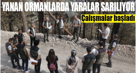 Göynük'te yaralar sarılıyor
