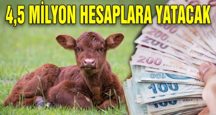 4,5 MİLYON HESAPLARA YATACAK 
