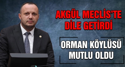 AKGÜL MECLİS'TE DİLE GETİRDİ